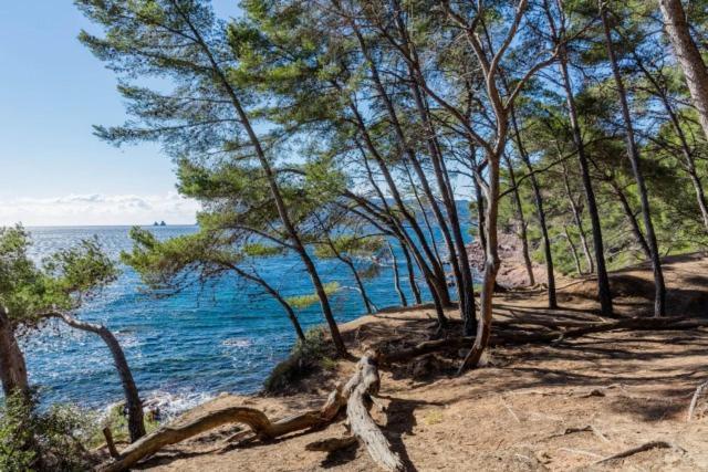 Studio Climatise Avec Jardin Et Plage A 250M Saint-Mandrier-sur-Mer Ngoại thất bức ảnh